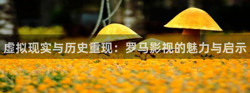 金牌电影免费观看：虚拟现实与历史重现：罗马影视的魅力与启示