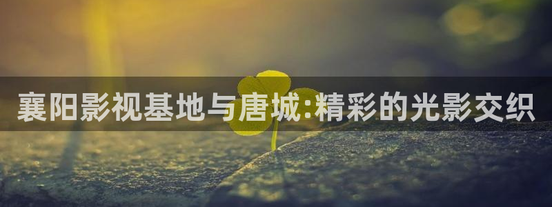 金牌河东狮吼 电影：襄阳影视基地与唐城:精彩的光影交织