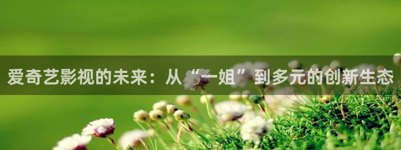 金牌影院\'：爱奇艺影视的未来：从“一姐”到多元的创新生态