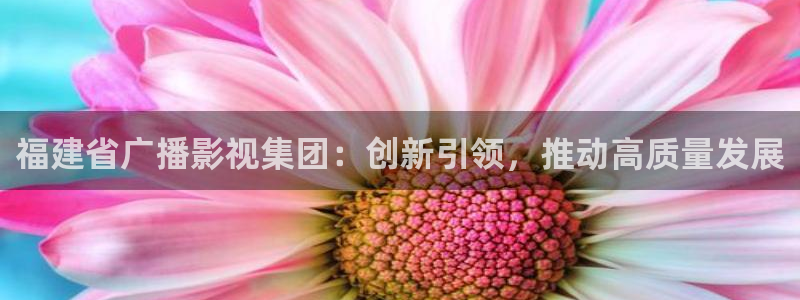 金牌影院入口官网：福建省广播影视集团：创新引领，推动高质量发展