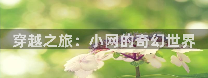 金牌电影在线观看：穿越之旅：小网的奇幻世界