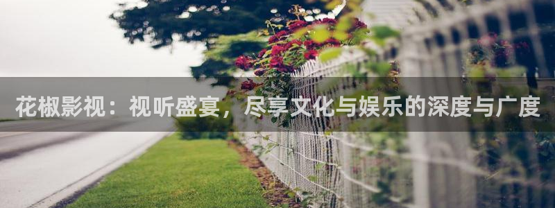 金牌影视电视剧：花椒影视：视听盛宴，尽享文化与娱乐的深度与广度
