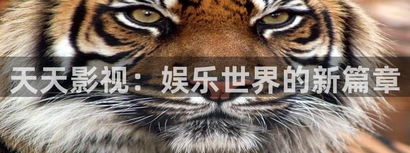 金牌影视网：天天影视：娱乐世界的新篇章