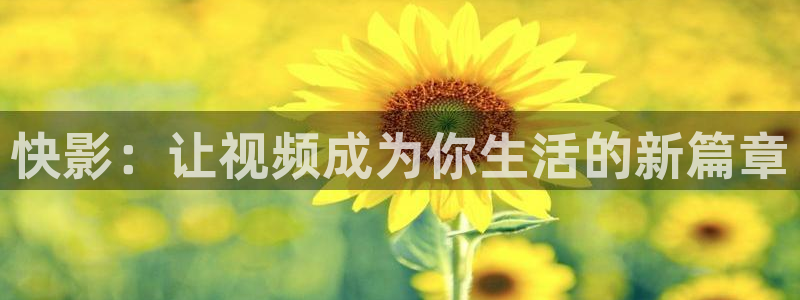 金牌特勤队2024电影在线观看：快影：让视频成为你生活的新篇章